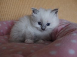 IMG_8613